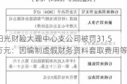 阳光财险大理中心支公司被罚31.5万元：因编制虚假财务资料套取费用等