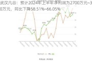 武汉凡谷：预计2024年上半年净利润为2700万元~3300万元，同比下降58.51%~66.05%