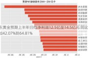 山东黄金预期上半年归母净利润12.5亿至14.5亿元 同比增加42.07%到64.81%