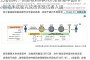 云南白药：创新核药INR101注射液中国I/IIa期临床试验完成首例受试者入组