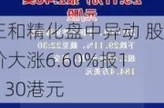 三和精化盘中异动 股价大涨6.60%报1.130港元