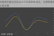 科技成长股与红利股间存在跷跷板效应，业绩恢复增长是关键