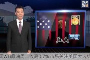 美国WTI原油周二收高0.7% 市场关注美国大选结果