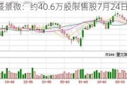 盛景微：约40.6万股限售股7月24日解禁