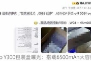 vivo Y300包装盒曝光：搭载6500mAh大容量电池