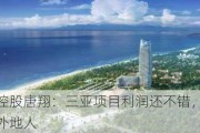 保利发展控股唐翔：三亚项目利润还不错，90%购房客户是外地人