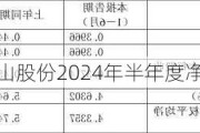 财报速递：江山股份2024年半年度净利润1.71亿元