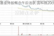 国家大基金持股概念午后活跃 国科微20cm涨停