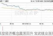 低空经济概念震荡回升 宝武镁业涨停