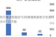 知行集团控股(01539)根据购股权***发行合计725万股