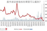 股市波动率指标在哪里可以看到？