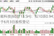 金能科技(603113.SH)：拟10派0.94元 将于6月3日股权登记