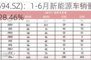 比亚迪(002594.SZ)：1-6月新能源车销量约161.3万辆 同比增长28.46%