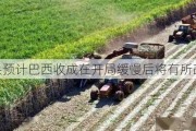 糖业巨头预计巴西收成在开局缓慢后将有所改善