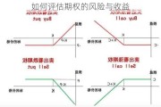 如何评估期权的风险与收益