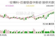 安博科-匹兹堡盘中异动 股价大跌5.62%