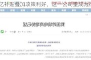 3000亿补贴叠加政策利好，这一公司望成为行业领头羊