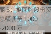 汇丽 B：拟回购股份资金总额调至 1000 万-2000 万