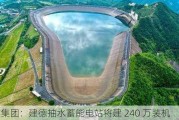 协鑫集团：建德抽水蓄能电站将建 240 万装机