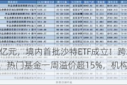 新发超12亿元，境内首批沙特ETF成立！跨境ETF持续升温，热门基金一周溢价超15%，机构频发风险提示