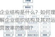 企业结构是什么？如何理解企业组织结构及其对运营效率的影响？