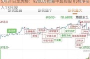 5月31日龙虎榜：9200万抢筹中超控股 机构净买入13只股