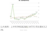 山大地纬：上半年净利润2085.54万元 同比增长3.23%