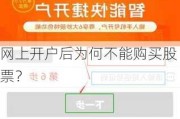 网上开户后为何不能购买股票？