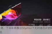 利亚德：下半年将推出50μm以下无衬底芯片的Micro产品