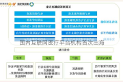 国内互联网医疗平台机构首次出海