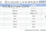 红棉股份：预计2024年上半年净利润为3000万元~4500万元，同比增长116%~224%