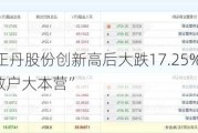 龙虎榜丨正丹股份创新高后大跌17.25%，买卖方前五均为“散户大本营”