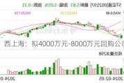 西上海：拟4000万元-8000万元回购公司股份