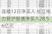 连续12日净买入 长江电力获沪股通净买入28.56亿元