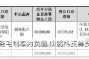 电池材料业务毛利率为负值 康鹏科技募投项目还建吗？