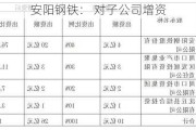 安阳钢铁： 对子公司增资