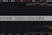 这一板块涨停潮！5000亿元龙头也暴涨