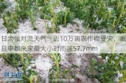 甘肃强对流天气：近10万亩农作物受灾，岷县申都朱家最大小时雨强57.7mm