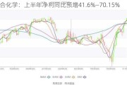 联合化学：上半年净利同比预增41.6%―70.15%