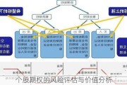 个股期权的风险评估与价值分析