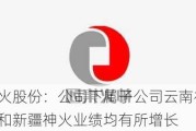 神火股份：公司下属子公司云南神火和新疆神火业绩均有所增长