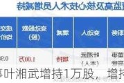 *ST景峰董事叶湘武增持1万股，增持金额9800元