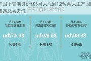 美国小麦期货价格5月大涨逾12% 两大主产国同时遭遇恶劣天气