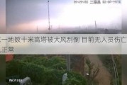 山东一地数十米高塔被大风刮倒 目前无人员伤亡，通讯正常