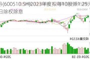 黑牡丹(600510.SH)2023年度拟每10股派1.25元 7月5日除权除息