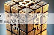 OEXN平台:美元贬值之下比特币能否迎来新机遇