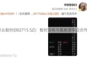 登云股份(002715.SZ)：暂时没有与氢能源车企合作