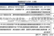 沪深两市REITs加速获批，上海首单消费类REIT来了