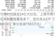 宁德时代派发54亿大红包，上海市两个百亿并购重组基金来了，双创龙头ETF（588330）单日吸金1565万元！