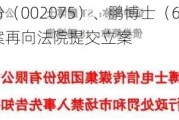 沙钢股份（002075）、鹏博士（600804）投资者索赔案再向***提交立案